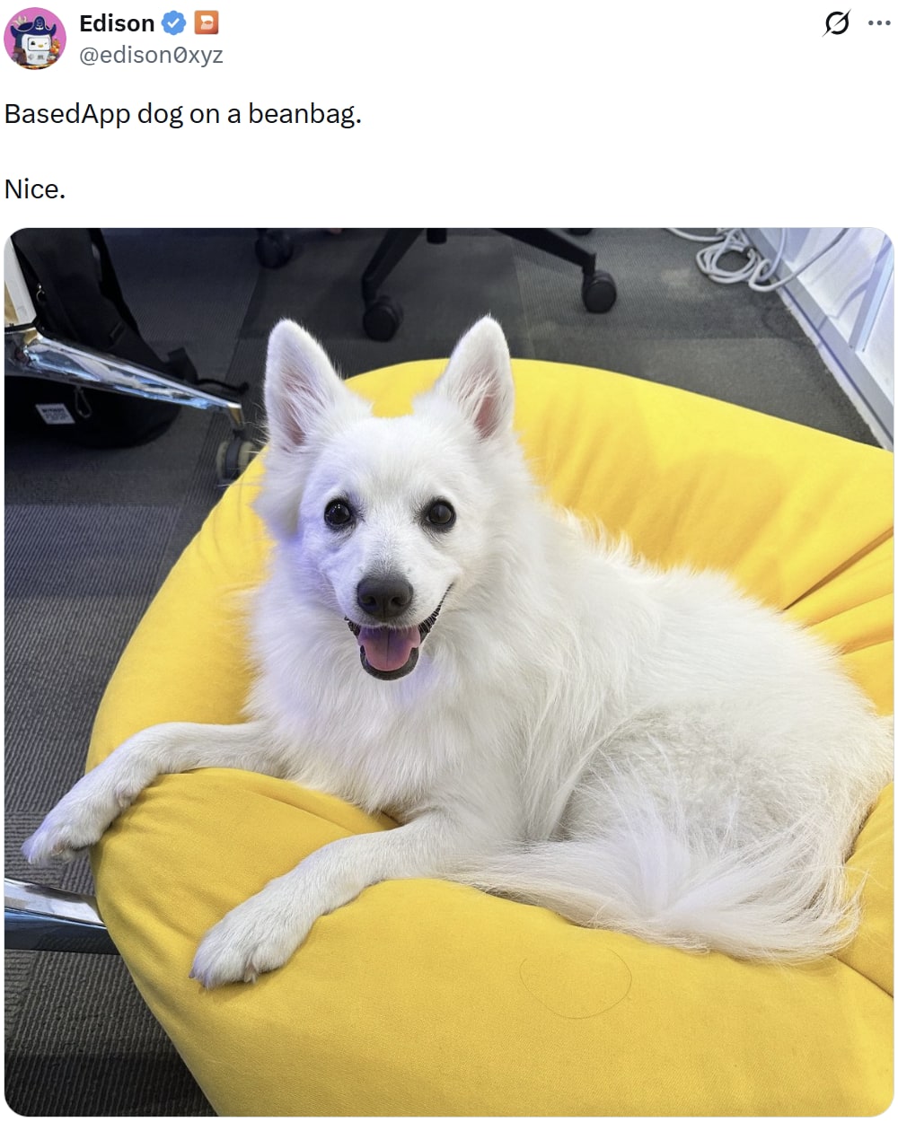 Screenshot of Edison's post featuring Based Dog smiling on a yellow beanbag